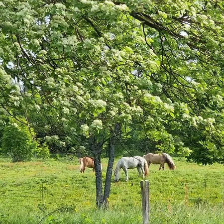 Frühstückspension La Petite Ourse Hohrod