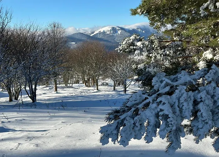 Bed & Breakfast Chalet La Petite Ourse 4*